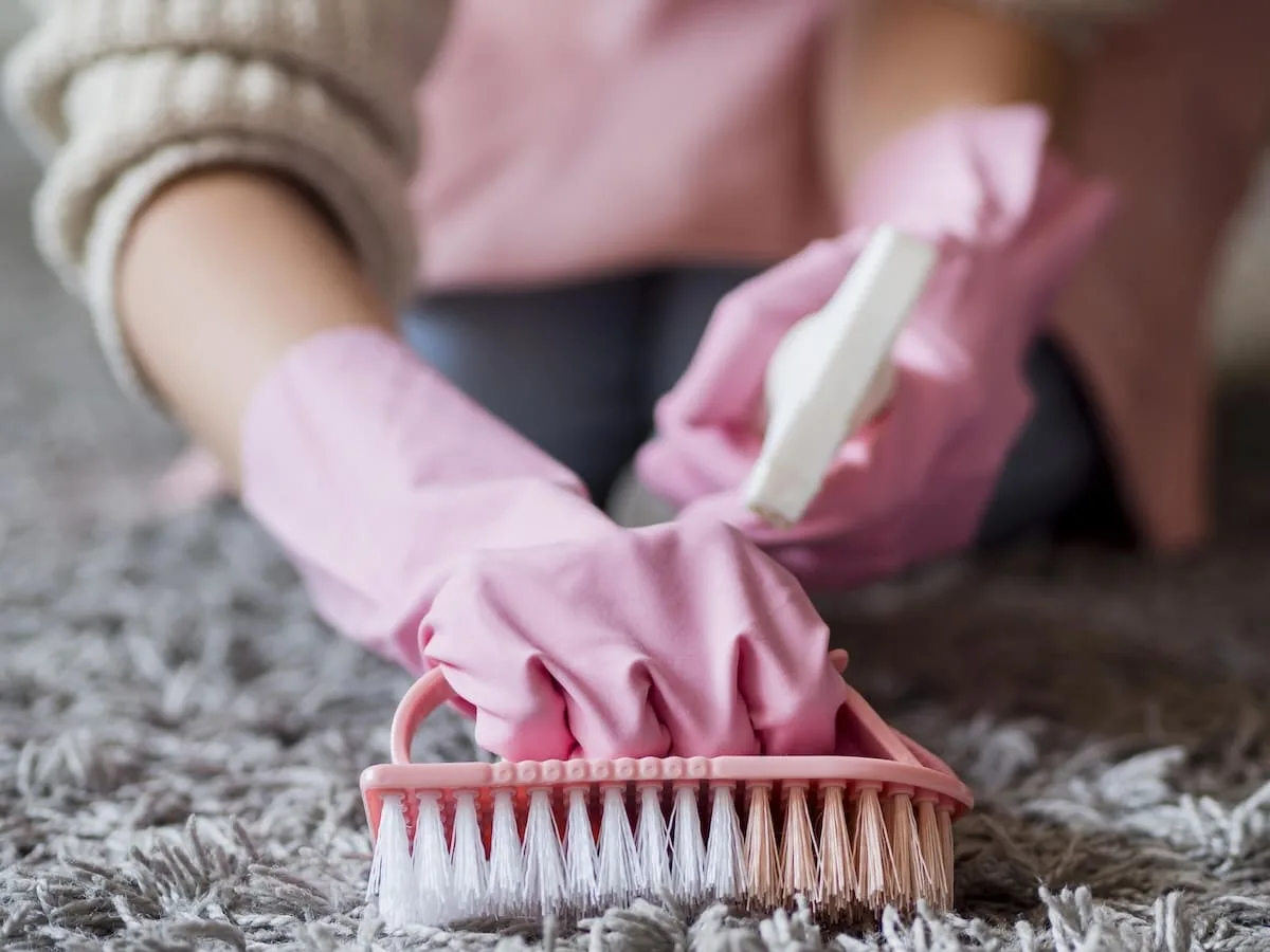 close-up-individual-brushing-carpet