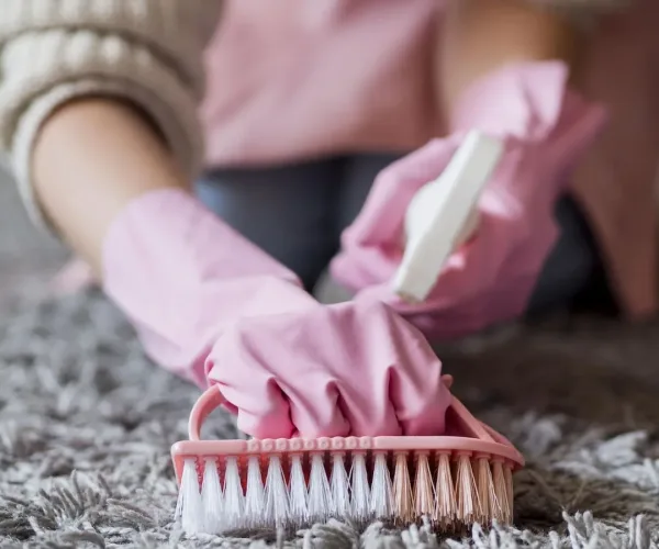 close-up-individual-brushing-carpet